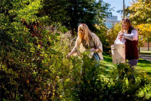 Two college students pick leaves and plants and add them to a bucket. 