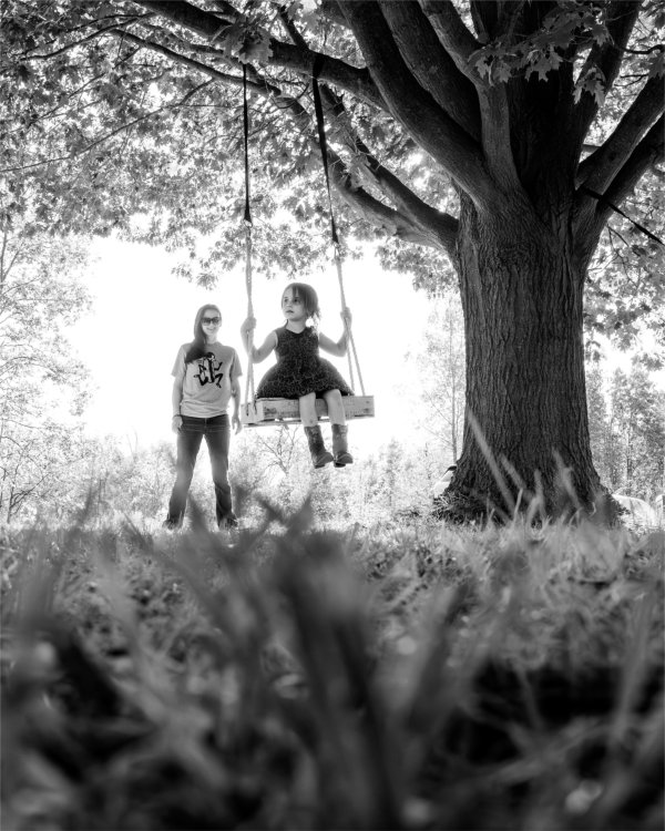 A person pushes a young child on a swing hanging from a large tree branch. 