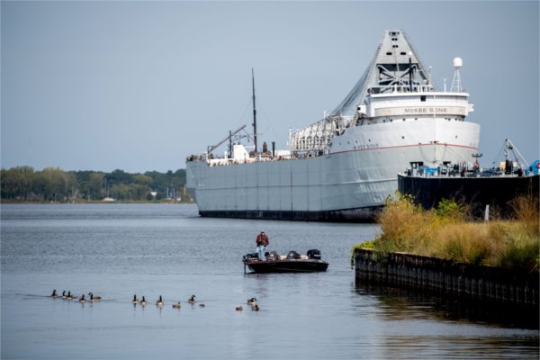 A view of small boats and a larger ship on the water with geese swimming nearby.