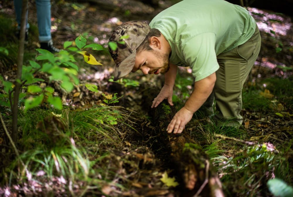 Moving logs, veering off the beaten path and getting dirty is all part of finding the creatures.