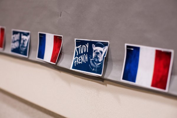 Placards showing the French flag and a picture of a dog with the words, "Study French"