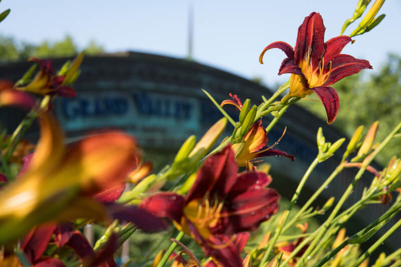 flower garden in front of Grand Valley arch