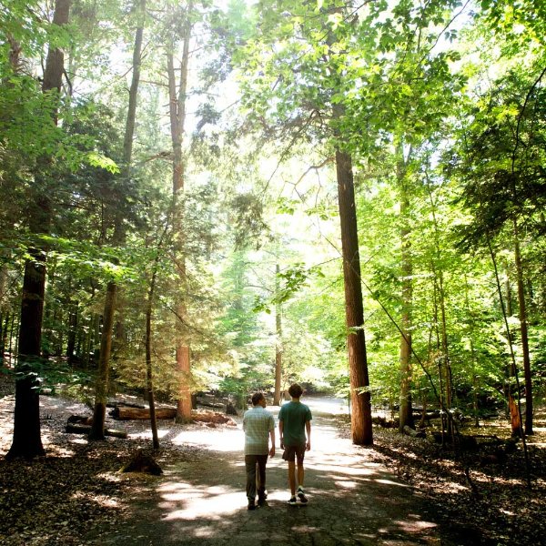 Two people are shown from the back walking along a sand path in the woods. Sun shines through.