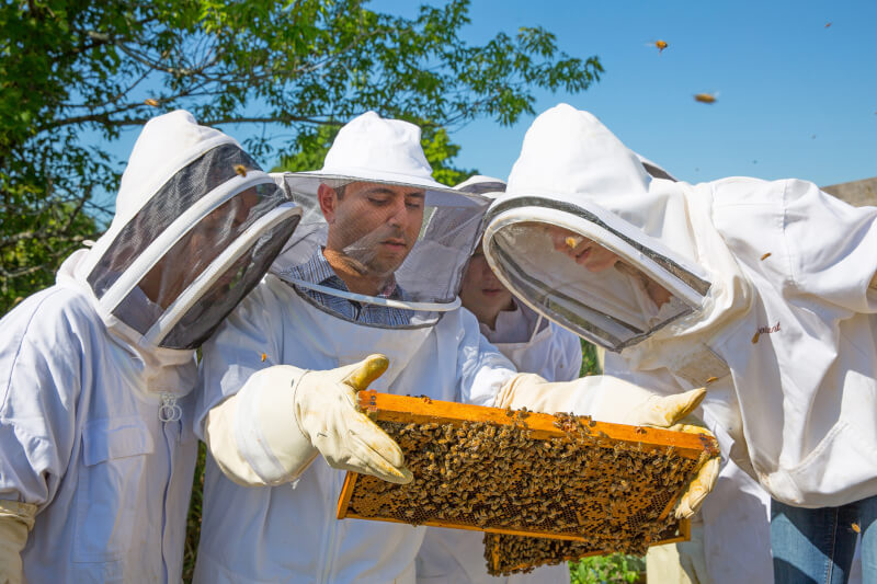three beekeepers around hives