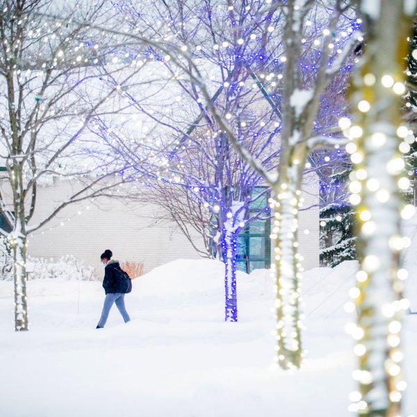person walking on snowy sidewalk, with lit trees in foreground