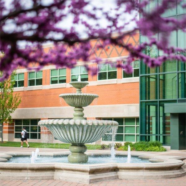 fountain in front of the Student Services building with water flowing, purple flowering tree in foreground