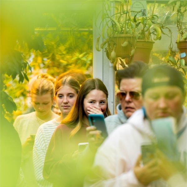Five people stand in line waiting to see the GVSU corpse flower. Two people are looking at a phone. One person holds their nose.