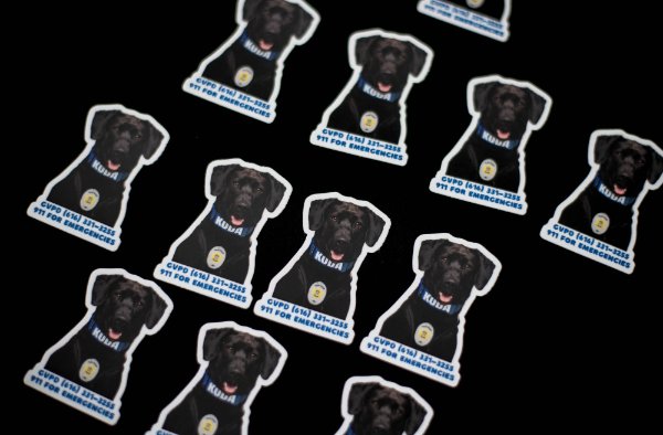 A close-up of stickers of a black dog with a collar that says Koda. GVPD information is at the bottom.