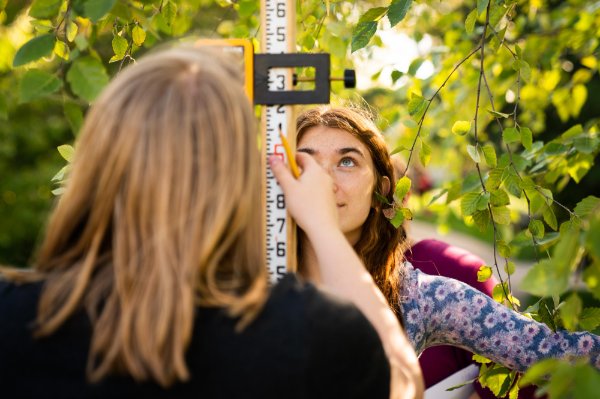  A person looks at a ruler tool while surrounded by leaves of a tree.