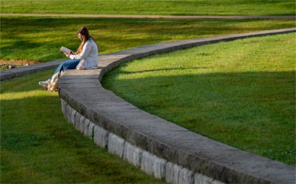 A student sits on an arched concrete bench in a grassy area. 