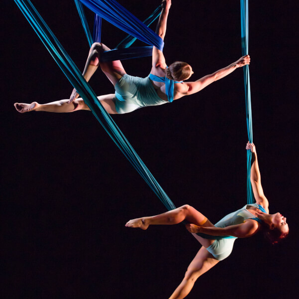 Aerial Dance Chicago performers