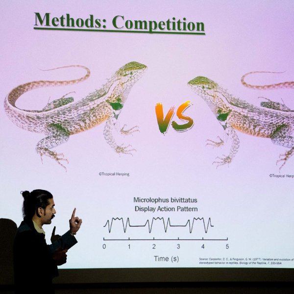 A person points at a screen showing images of two lizards with the word "vs" between them. At top are the words, "Methods: Competition."