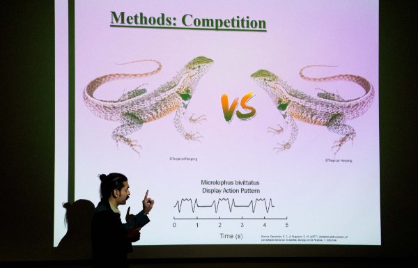 A person points toward a screen that has images of two lizards with the words "vs" between them. The words at the top say, "Methods: Competition."