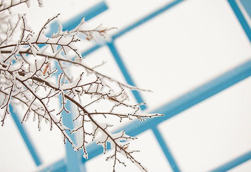 The university�s emergency closing policy is detailed below.