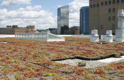 The green roof at Kennedy Hall of Engineering on the Pew Grand Rapids Campus.