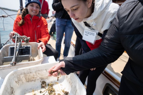 students gather around a plastic tub filled with mussels