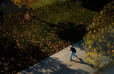 A person walks along a sidewalk with yellow leaves on the ground around them. 