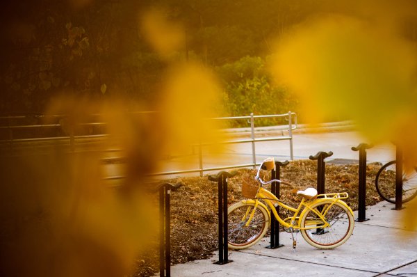 A bright yellow bike rests agains a black bike rack, surrounded by blurred yellow leaves in the foreground and yellow foliage in the background. 