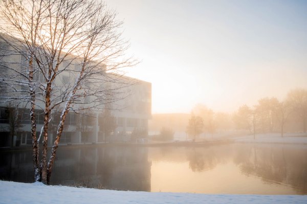A soft ethereal light filters through the fog near a building and pond.