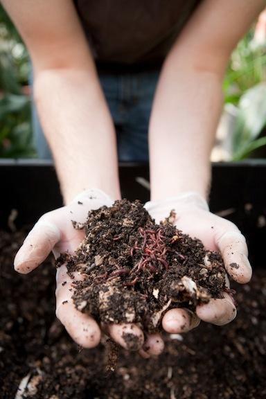 Grand Valley was named a greenest school by Sierra Club.