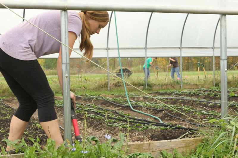 Students work at the Sustainable Agriculture Project. 