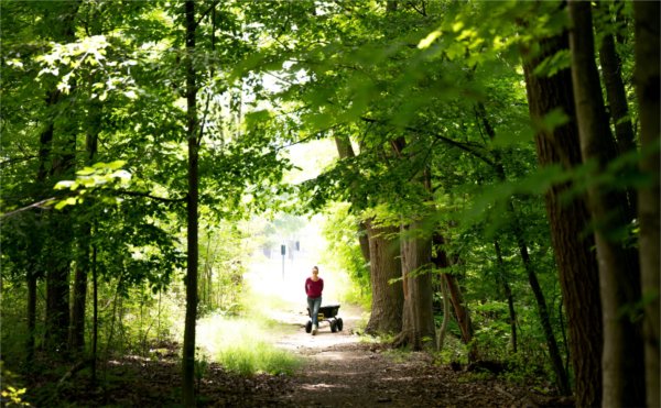 A person walks along a wooded path pulling a cart behind them.