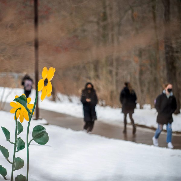 students on sidewalk walk by sculpted flowers, snow covers the ground