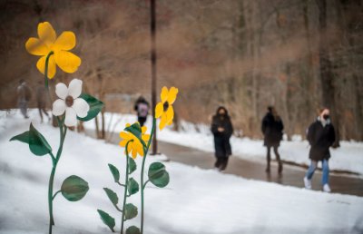 students on sidewalk walk by sculpted flowers, snow covers the ground