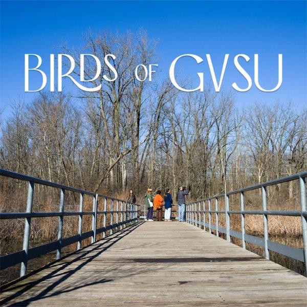 The ornithology club stands on the boardwalk as they look out at some birds sitting in the tops of distant trees near Waterfront Park April 11.

(Photo releases on file)