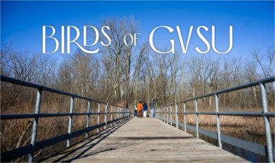 The ornithology club stands on the boardwalk as they look out at some birds sitting in the tops of distant trees near Waterfront Park April 11.

(Photo releases on file)