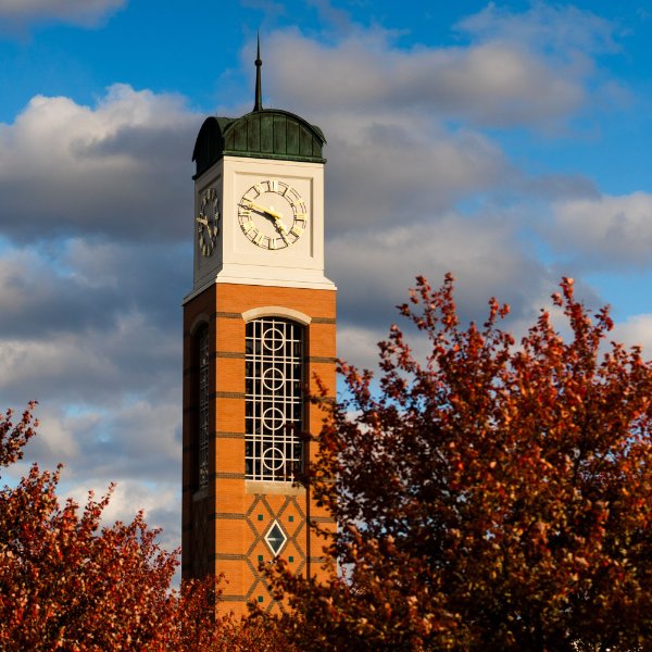 The carillon on the Allendale Campus.