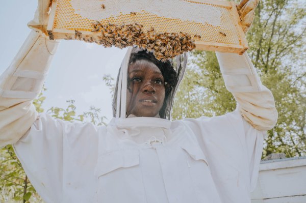 A student wearing a bee suit holds up a bee hive frame with honey bees on it.