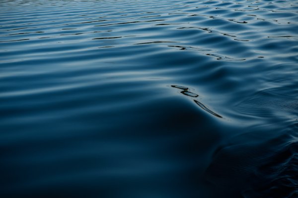 Ripples form from a boat's wake.