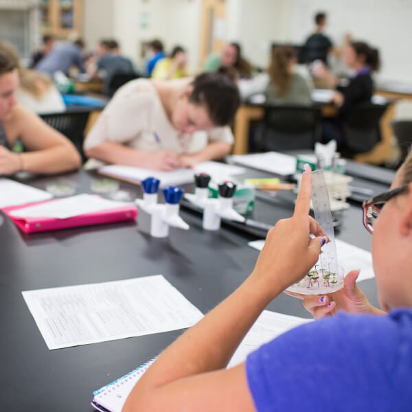 Students in a biology lab with plants in a petri dish