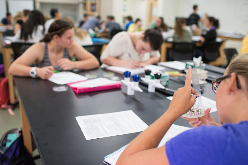 Students in a biology lab with plants in a petri dish