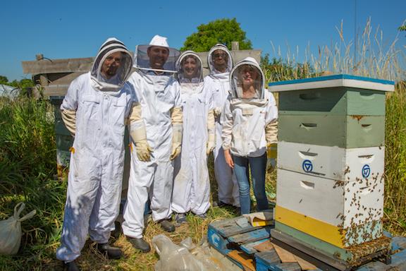 Five students wearing white beekeeper suits