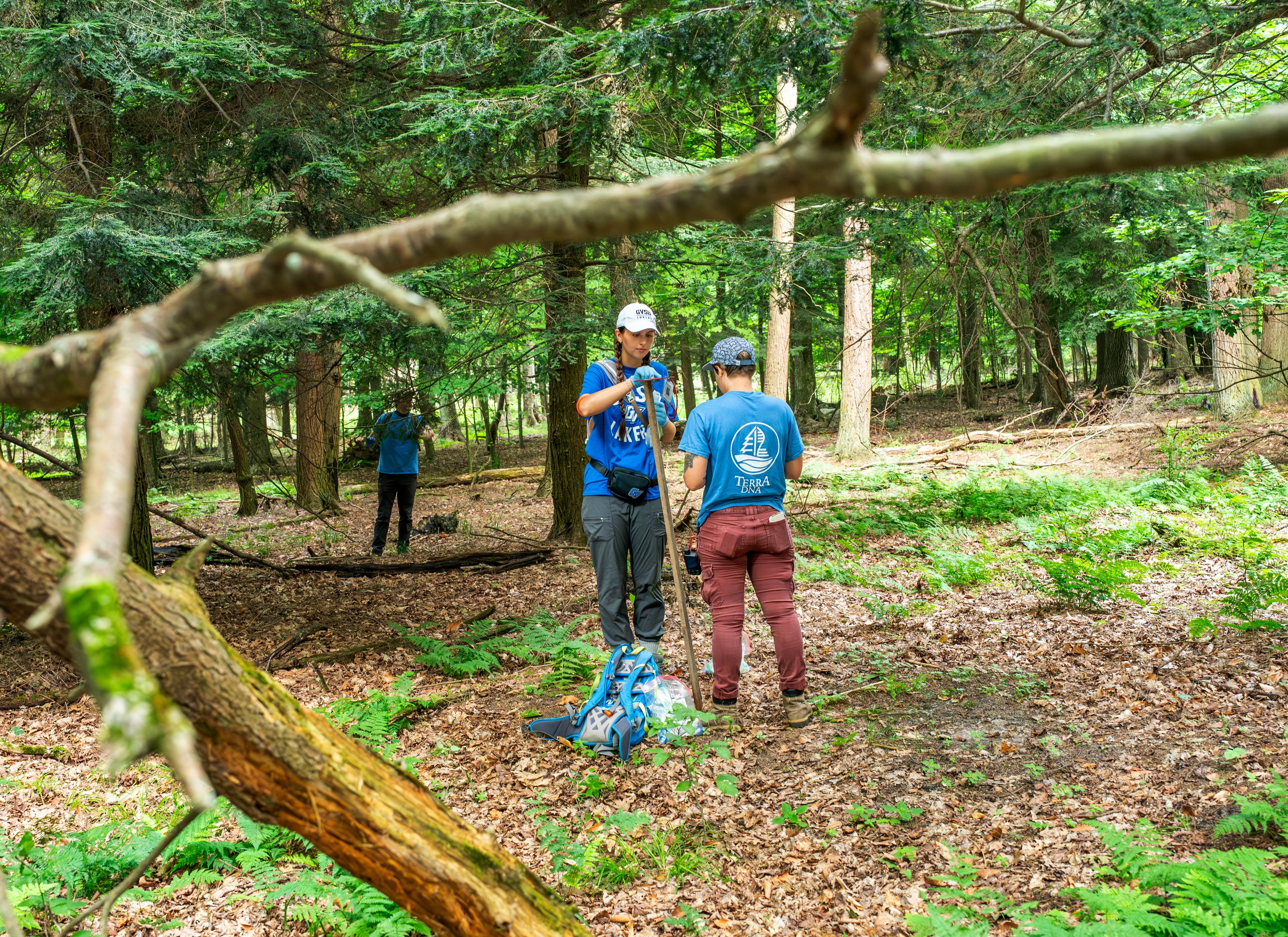 Two people stand in a forest focused on equipment. A tree branch in the foreground frames them.